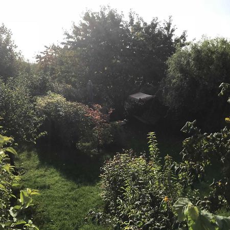 Fewo In Sonniger Lage In Sagard Εξωτερικό φωτογραφία